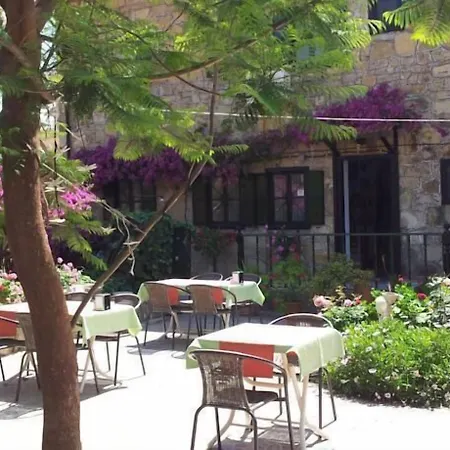 Akasya (adults Only) Side