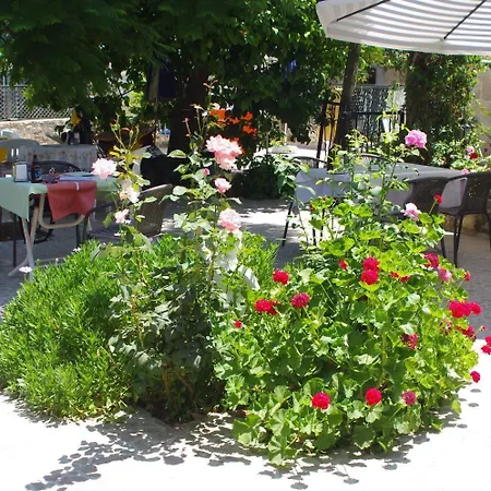 Akasya (adults Only) Side