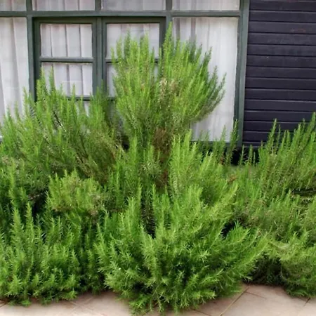 Akasya (adults Only) Hotel Side