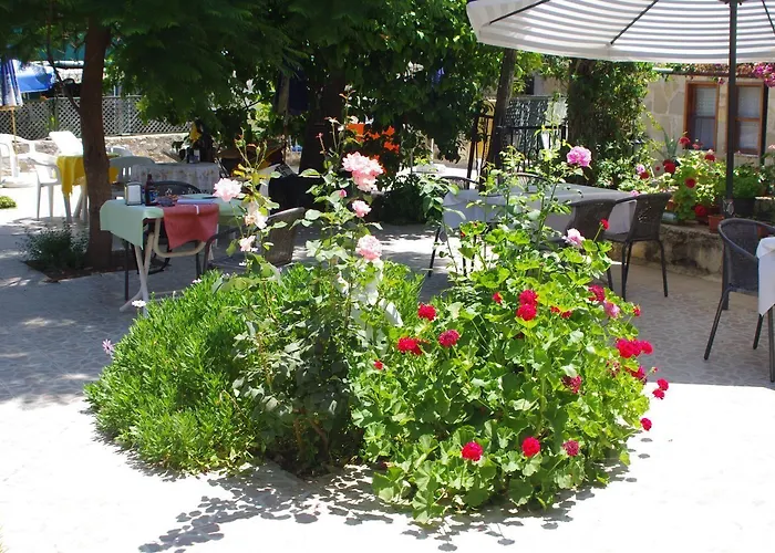 Akasya (adults Only) Σιντέ