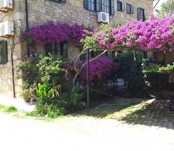 Akasya (adults Only) * Σιντέ