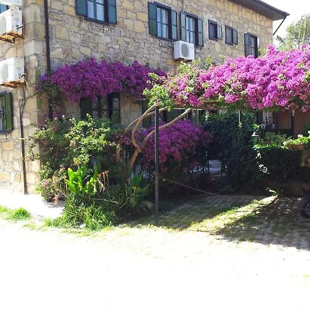 Akasya (adults Only) * 시데