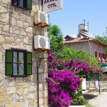 Akasya (adults Only) * 시데