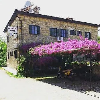 Akasya (adults Only)