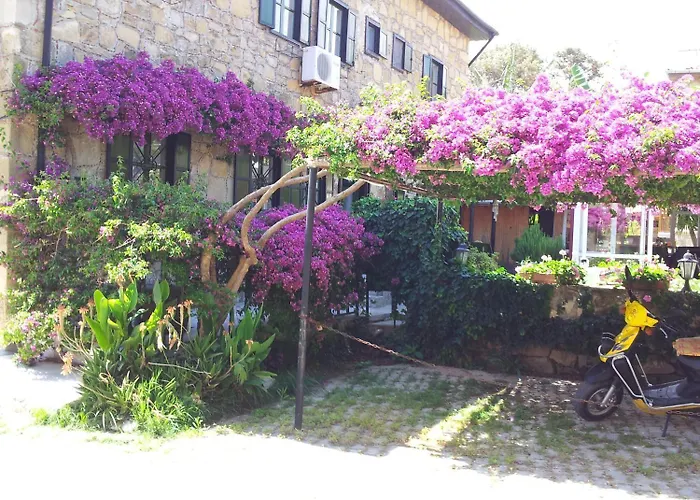 Akasya (adults Only) Hotell Side