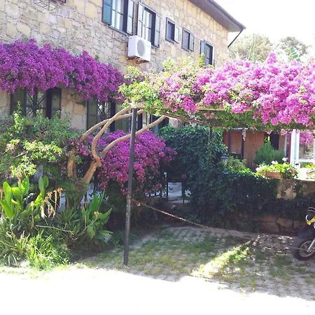 Akasya (adults Only) 酒店 锡德