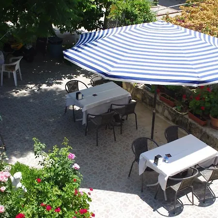 Akasya (adults Only) * 锡德